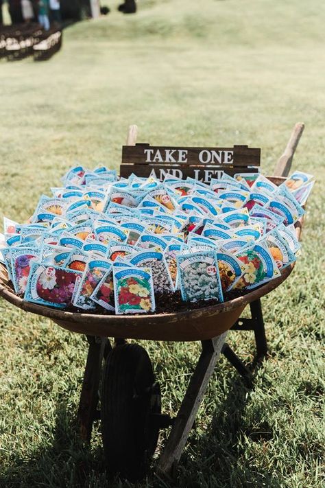 Texas Wildflower Wedding Theme, Let Love Grow Wedding Favors Seeds, Wild Flower Wedding Favors, Wild Flower Garden Wedding, Wedding Favors Flowers, Wedding Favors Flower Seeds, Wildflower Seeds Party Favor, Wild Flower Theme Wedding, Wild Flower Party Favors