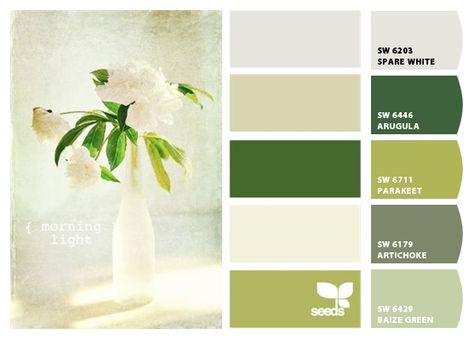 Clean Color Palette, Cream Palette, Palette Color, Design Seeds, Exterior Paint Colors, Paint Colors For Home, Color Swatch, Green Cream, Morning Light