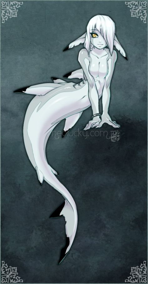 Girl in the Sea by Neolucky on DeviantArt Shark Mermaid, Shark Girl, Character Design Cartoon, Mermaid Swimming, Mermaid Drawings, Heroic Fantasy, Mermaid Tattoo, Mermaid Tattoos, Mermaids And Mermen