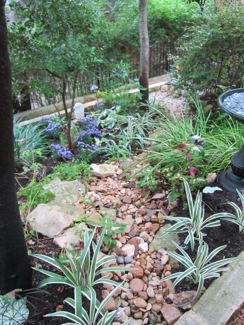 Look What I Can Do! | Lisa's Landscape & Design Texas Perennials, Diy River Rock, Texas Landscaping, Design Yard, Shade Landscaping, Texas Plants, Shade Garden Design, Texas Gardening, Sun Garden