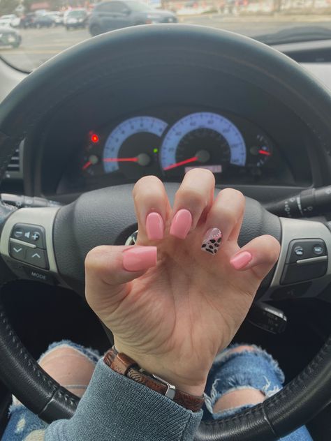 Pink cowprint nails #cowprint #cowprintnails #nailsofinstagram #western Light Pink Western Nails, Valentines Nails Western, Light Pink Cow Print Nails, Cow Print Nails Square, March Square Nails, Western Valentine Nails, Pink Cowprint Nails, Pink Western Nails, Pink Cow Print Nails