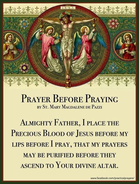 Anima Christi Prayer, Novena Prayers Catholic, Catholic Saints Prayers, Anima Christi, Catholic Prayers Daily, Catholic Beliefs, Novena Prayers, Everyday Prayers, Miracle Prayer