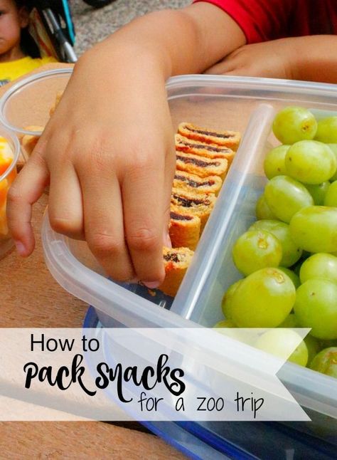 How to Pack Snacks for a Zoo Trip – Jordan's Easy Entertaining #ad Packed Lunch For Zoo Trip, Packing Lunch For Zoo Trip, Lunch Ideas For Zoo Trip, Snacks For Zoo Trip, Lunches For Zoo Trip, Zoo Snack Ideas, Zoo Day Lunch Ideas, What To Pack For Zoo Trip, Zoo Trip Must Haves