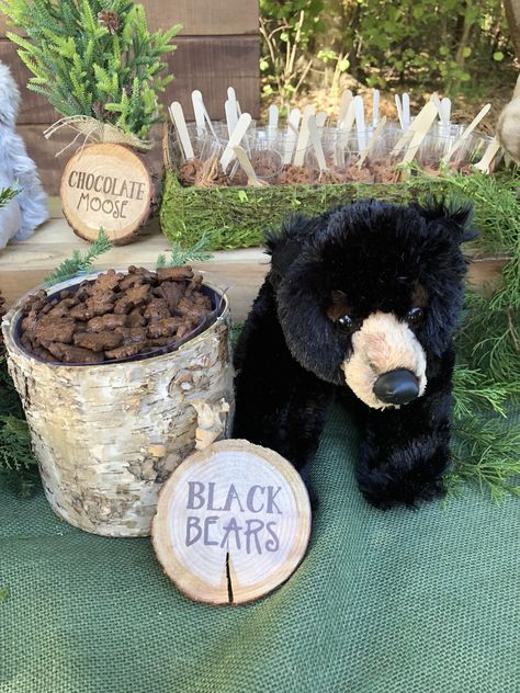 Black Bear Party Ideas, Forest Ranger Birthday Party, Woodland Themed 1st Birthday Boy, Moose Birthday Party, Cabin Themed Party, Woodland Theme Birthday Party Decor, Nature First Birthday Party, Hunting 1st Birthday Boys, Wild One Birthday Party Boys Woodland