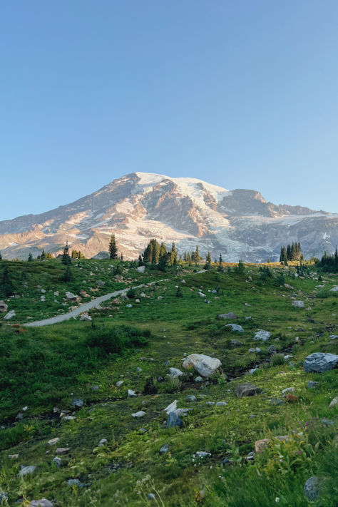 A stunning photograph of Mount Rainier, showcasing the majestic snow-capped peak against a clear blue sky with lush green forests at its base. The image captures the grandeur and natural beauty of the Washington landscape, making it a perfect addition to any nature-themed decor. Paradise Mt Rainier, Pnw Painting, Mountain Rainier, Pacific Northwest Aesthetic, Washington Landscape, Pacific Northwest Landscape, Washington Forest, Rainy Photos, View Scenery