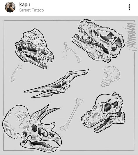 Pterodactyl Skull Tattoo, Dino Bones Drawing, Dinosaur Bones Tattoo, Dinosaur Bones Drawing, Dino Skull Tattoo, Dinosaur Skull Drawing, Dinosaur Skeleton Tattoo, Dinosaur Skull Tattoo, Otto Tattoo