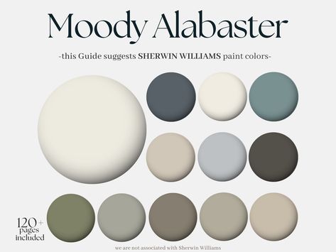 Sherwin-williams Colors Moody Alabaster, Sherwin Williams Color Paint for the Whole House, Home Designer Paints Palette, Homely Design White - Etsy Color Paint Palette, Alabaster Sherwin Williams, Alabaster White, Sherwin Williams Colors, House Color Palettes, Sherwin Williams Paint Colors, Color Paint, Color Pairing, Paint Palette