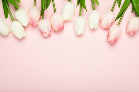 Blossom tulips aligned on table | Free Photo Flower Lockscreen, Green Wedding Bouquet, Flower Background Design, Fb Cover Photos, Wreath Drawing, Easter Wallpaper, Computer Wallpaper Desktop Wallpapers, Tulips In Vase, Beautiful Background