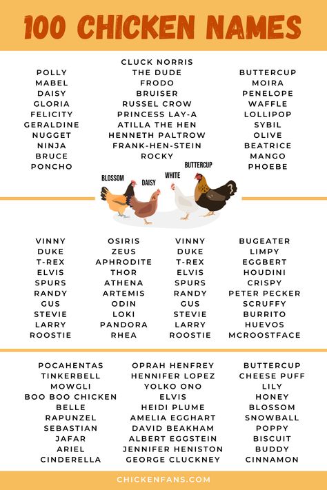 A poster with 100 chicken names Chicken Name Tags, Cute Names For Chickens, Chicken Name Ideas, Old Lady Chicken Names, Rooster Names Funny, Chicken Names Hens Funny, Chicken Names Funny, Chicken Names Hens, Hen Names