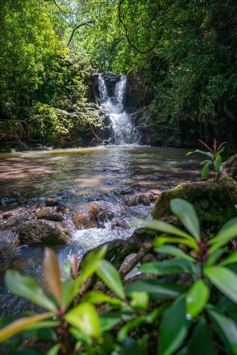 Local Waterfalls Oahu Judd Trail Oahu, Oahu Waterfall Hikes, Moana Falls Oahu, Hauula Oahu, Hawaii North Shore Oahu, Polynesian Islands, Oahu Travel, Oahu Hawaii, Hawaiian Islands