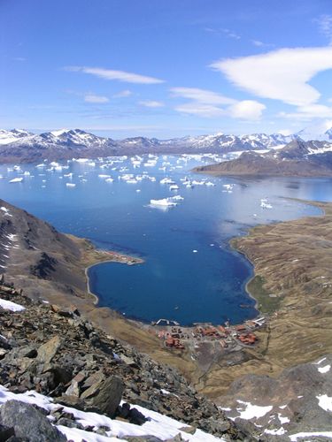 South Georgia in the south Atlantic Georgia Islands, South Georgia Island, Remote Places, British Overseas Territories, Tour Around The World, Falkland Islands, South Georgia, Island Destinations, Awesome Places