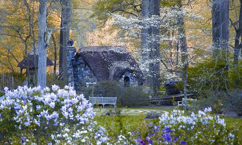 Cute Cottages, Trees And Flowers, Stone Cottages, Enchanted Wood, Fairytale Cottage, Storybook Cottage, Beautiful Cottages, Cottage In The Woods, Dream Cottage