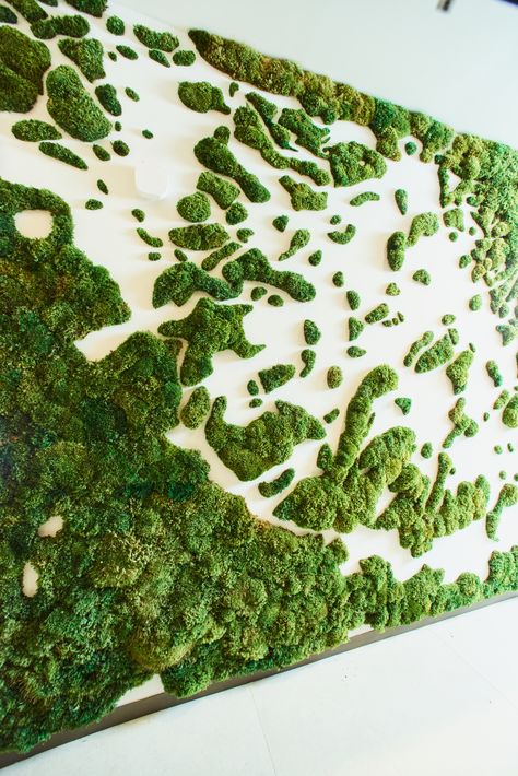 Green Moss Wall, Moss Wall Design, Moss Installation, Petrified Moss Wall, Wall Showcase Design, Moss On Buildings, Moss Logo Wall, Green Wall Design, Moss Wall Sculptures & Statues