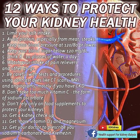 Lower Creatinine Levels, Kidney Friendly Recipes Renal Diet, Creatinine Levels, Kidney Friendly Foods, Food Health Benefits, Renal Diet, Kidney Friendly, Ct Scan, Kidney Health