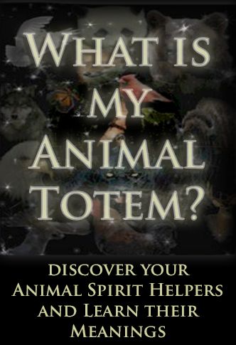 What is my Animal Totem? I am a Raven, just thought it was interesting... What Is My Spirit Animal, Interesting Animal, Totem Animals, Spells Magic, Native American Totem, Animal Spirit Guide, Totem Animal, Witchcraft Spells, Animal Spirit Guides