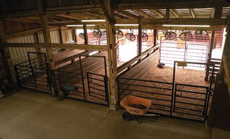 Show Cattle Barn, Cow Barn, Livestock Barn, Barn Layout, Show Cows, Cattle Barn, Barn Stalls, Horse Barn Ideas Stables, Horse Barn Designs