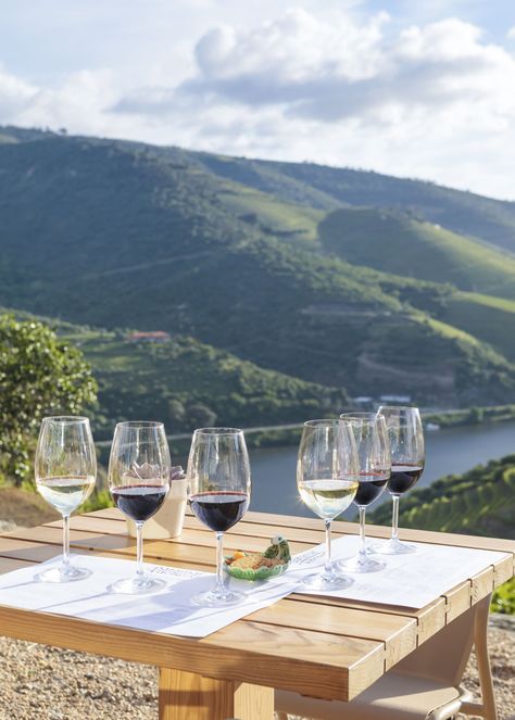 Quinta Nova Winery House, North & Douro - Handpicked by JO&SO Douro Valley Wine Tour, Porto Wine Tour, Winery House, Wine Presentation, Gentle Feminine, Farm Restaurant, Hotels Portugal, 2023 Travel, Wine Tourism