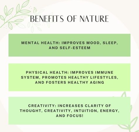 Benefits Of Being In Nature, Benefits Of Being Outside, Environmental Wellness, Eco Therapy, Nature Benefits, Lifestyle Medicine, Lower Cortisol, Benefits Of Nature, Natural Cycles