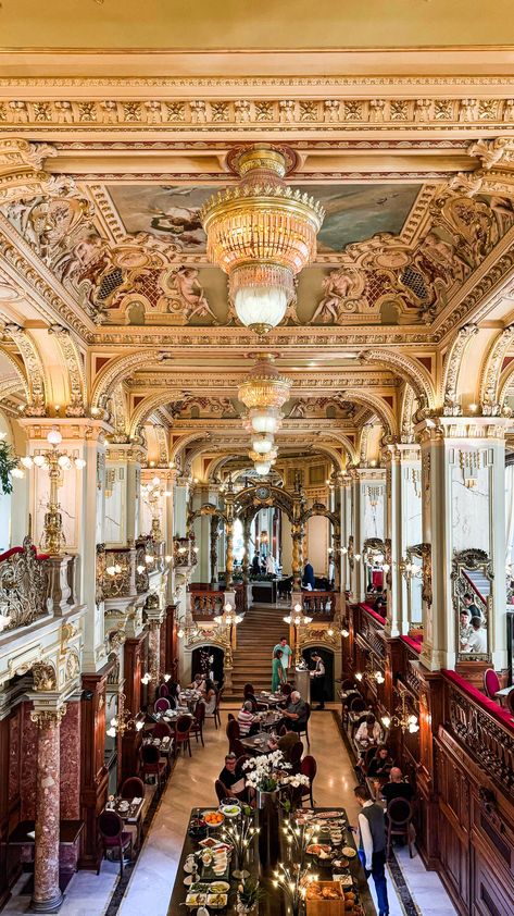 New York Cafe Budapest (@newyork_cafe_budapest) • Instagram photos and videos New York Cafe Budapest, Budapest Restaurant, New York Cafe, Travel Bucket, Travel Bucket List, Travel Around The World, Travel Around, Budapest, Vienna