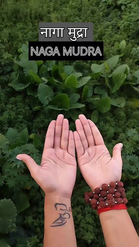 Naga Mudra is the mudra of strength, wisdom, shrewdness and potency. Naga means deity of snake that symbolises power and cleverness in those who are practicing this mudra. ✅Practicing this mudra Builds physical and mental strength Activates your brain and brings clarity in life. Relieves from tension and stress. It will take you to greater heights in spiritual life by overcoming challenges in life . Step 1: Sit comfortably in a place with your back straight. step 2: bring your hands in front Naga Mudra, Drinking Lots Of Water, Challenges In Life, Overcoming Challenges, Deep Breaths, Chakra Yoga, Mental Strength, Spiritual Life, Your Brain