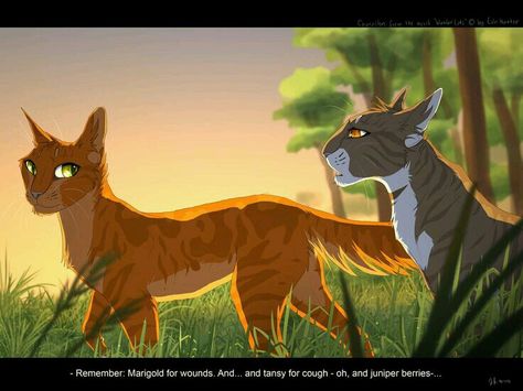 Leafpaw/pool telling Squirrelpaw/flight about herbs before the journey Warrior Cats Books, Warrior Cats Fan Art, Warrior Cat Drawings, Love Warriors, Warrior Cats Art, Cat Books, Cat Boarding, Warrior Cat, Warrior Cats