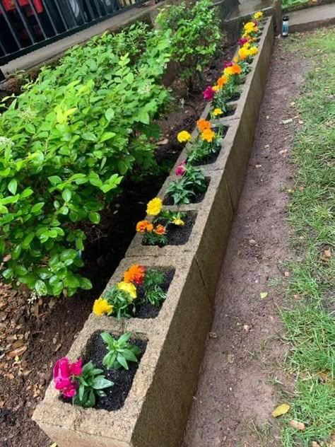 Front Yard Flower Garden, Flower Garden Ideas Landscaping, Garden Ideas In Front Of House, Garden Front Of House, Grow Strawberries, House Front Yard, Cinder Blocks, نباتات منزلية, Flower Garden Ideas