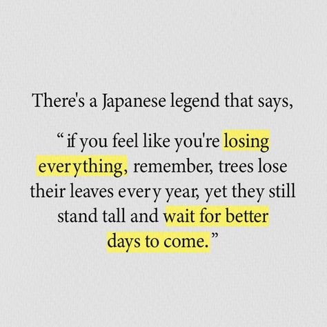 There's a Japanese legend that says, "if you feel like you're losing everything, remember, trees lose their leaves every year, yet they still stand tall and wait for better days to come.” Losing Everything Quotes, Leaf Quotes, Japanese Poem, Legend Quotes, Long Love Quotes, Japanese Legends, Tree Quotes, Lost Quotes, L Quotes