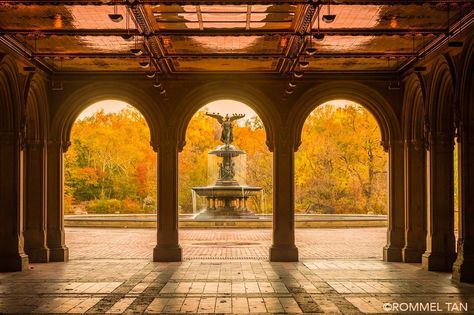 Bethesda Fountain Central Park, New York Places, Bethesda Terrace, Bethesda Fountain, I Love Nyc, Bad Photos, Manhattan Skyline, Maternity Photography Poses, Chrysler Building