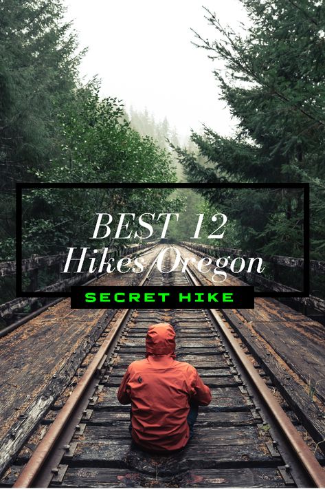 From coast to desert and river gorges to southern forests this list hits all the best hikes in Oregon. The most unique, popular, and unknown destinations for your next hiking trip in Oregon. Hikes In Oregon, The Oregon Trail Road Trip, Trail Of Ten Falls Oregon, Hike Photography, Oregon Coast Hikes, Oregon Sights, Highway Of Waterfalls Oregon, Timberline Lodge, Vancouver Washington