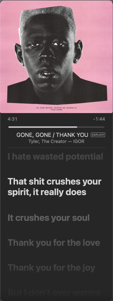 Tyler The Creator Gone Gone Thank You, Gone Gone Thank You Lyrics, Gone Gone Thank You, Thank You Lyrics, Wasted Potential, Music Lyrics Songs, Song Artists, Lie To Me, Tyler The Creator