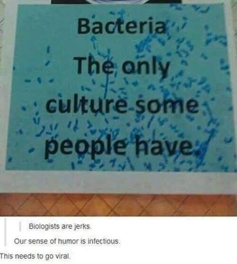 Science Humor Biology, Science Humour, Biology Jokes, Study Memes, Biology Memes, Biology Humor, Biology Major, Nerdy Jokes, Nerd Memes