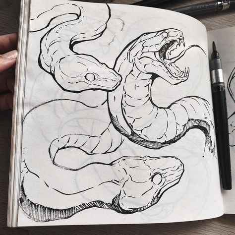 Daily Drawing Exercises, Sorie Kim, Sketching Lessons, Creative Sketching, Daily Sketching, Snake Drawing, Sketching Ideas, Snake Art, Drawing Exercises