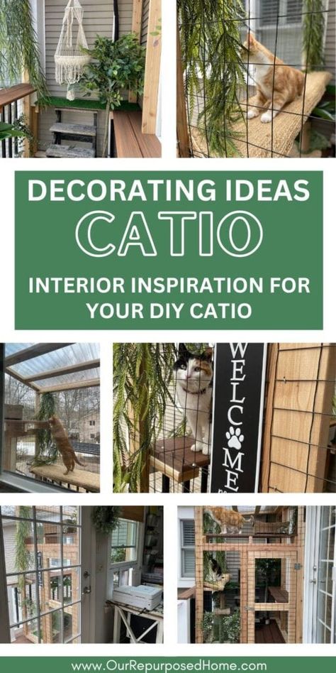 Turn your catio into a cat paradise with these decorating ideas! Learn how to create a safe and stimulating outdoor space for your cat to enjoy. Plants For A Catio, Catio Ideas Cat, Cattery Ideas, Pet Rooms, Cat Rooms, Cat Breeding, Catio Ideas, Cat Paradise, Cat Life Hacks