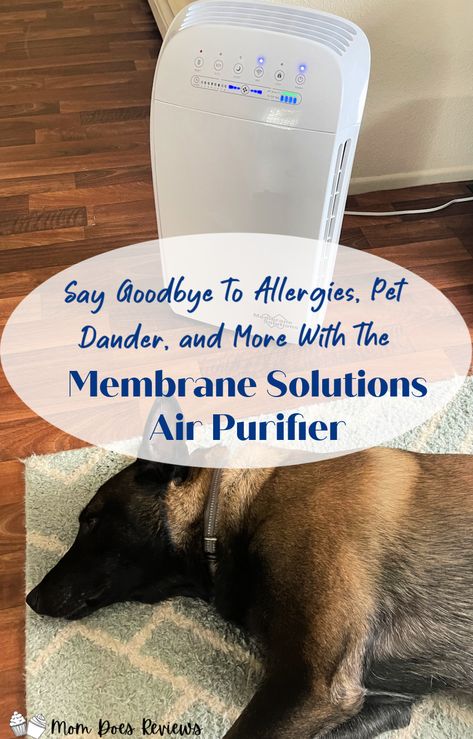 The Membrane Solutions Air Purifier MSA3S is the best smart allergies air purifier. This purifier is a HEPA 3-in-1 Air Purifier for Allergies. It filters out 99.97% of particles as small as 0.3 microns, including PM 2.5, dust, pet, dander, pet hair, pollen, cigarette smoke, odors, VOC, chemicals, and viruses. It’s also perfect for large rooms. With a high purifying capacity and the OdallerPure technology, MSA3S purifies rooms as large as 1500 sq. ft. Allergy Symptoms, Pet Dander, Social Media Facebook, Summer Gift, Water Purifier, Clean Air, Air Purifier, Pet Hair, Say Goodbye