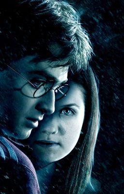 The Life and Adventures of Harry Potter and Ginny Weasley - fanfiction on Watt Pad at http://www.wattpad.com/14626484 Harry Potter And Ginny Weasley, Harry Potter And Ginny, Harry Potter Ginny, Harry And Ginny, Yer A Wizard Harry, Images Harry Potter, Bonnie Wright, Harry Potter Fanfiction, Movie Series