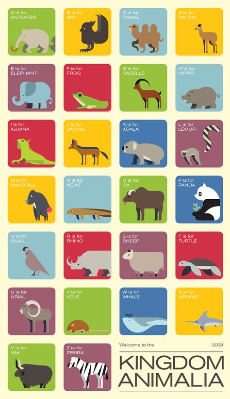 The Kingdom Animalia - Alphabet animals Zoo Poster Design, Zoo Signage, Alphabet Animals, Museum Exhibition Design, Kingdom Animalia, Graphics Layout, Infographic Illustration, 카드 디자�인, Signage Design