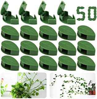 Plant Climbing Wall, Garden Hooks, Plant Cages, Plant Ties, Wall Clips, Plant Clips, Plant Hooks, Support Plante, Vine Wall