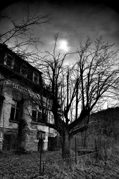 Asylum Aesthetic, Old Asylum, Scary Photos, Abandoned Asylums, Creepy Houses, Funny Paintings, Dark Images, Abandoned Castles, Spooky House