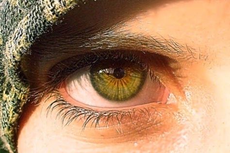 What Are Hazel Eyes Celebrities With Green Eyes, Green Eyes Facts, People With Green Eyes, Heterochromia Eyes, Baggy Eyes, Dark Green Eyes, Hazel Green Eyes, Change Your Eye Color, Blue Eye Color