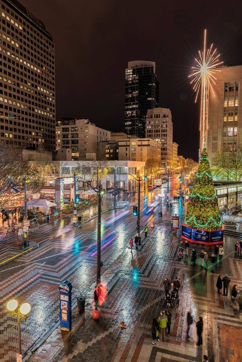 Seattle Christmas, Seattle Apartment, Seattle Travel, Visit Seattle, Pretty Trees, Christmas In The City, Christmas 2015, Christmas Past, Christmas Star