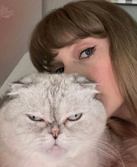 Taylor Swift Cats, Taylor Swift Cat, Taylor Swfit, Taylor Swift Icon, Estilo Taylor Swift, Olivia Benson, Dara Kpop, Miss Americana, Taylor Swift Wallpaper