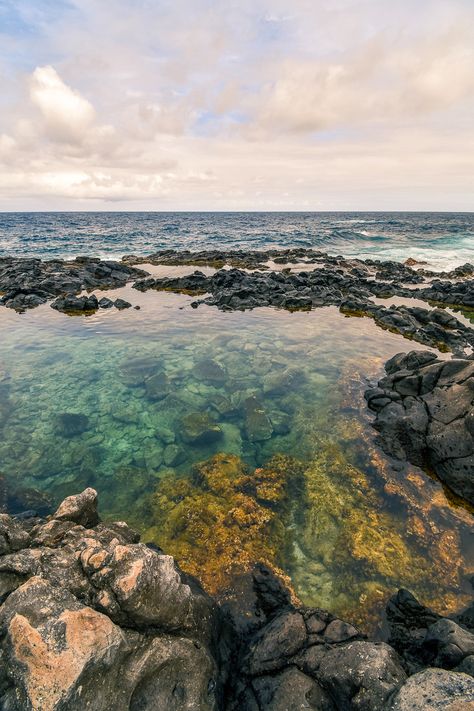 Hawaii Tide Pools, Tidepool Aesthetic, Makapuu Tidepools, Mermaid Pool, Ocean Pool, Hawaii Ocean, Tidal Pool, Tide Pool, Hiking Photography