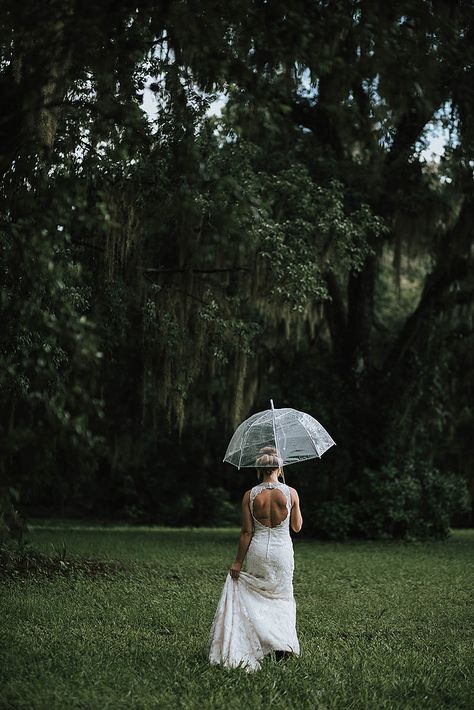 Umbrella Wedding Pictures, Clear Umbrella Photography, Clear Umbrella Wedding, Umbrella Wedding Photos, Oak Tree Wedding, Trees Wedding, Purple Wedding Centerpieces, Romantic Bridal Shower, Umbrella Photography