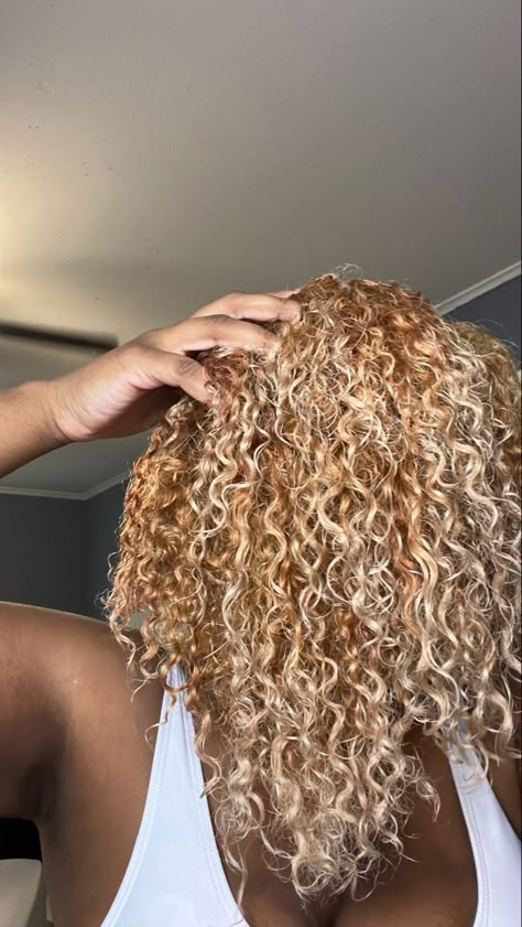 Honey Blonde Hair On Black Women Curls, Golden Blonde Hair Black Women, Honey Blonde Hair Curly, Bleached Hairstyles, Blonde Curly Weave, Hair Color For Natural Hair, Golden Blonde Curly Hair, Color For Natural Hair, Black Girls With Blonde Hair