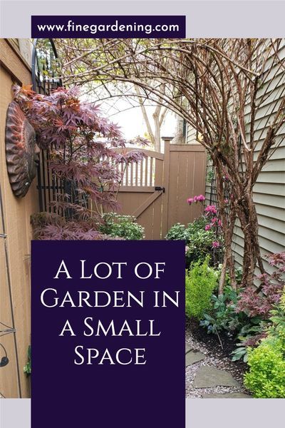 Pacific Northwest Natural Landscaping, Pacific Northwest Gardening, Pacific Northwest Backyard, Pnw Garden, Pacific Northwest Garden, Sloped Backyard Landscaping, Northwest Garden, Northwest Landscaping, Fine Gardening Magazine