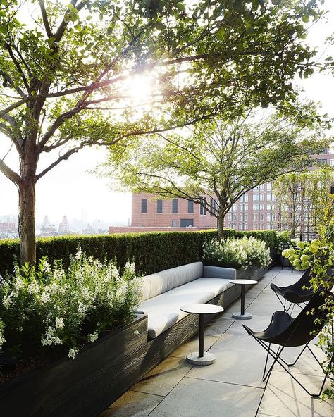 Outdoor • Instagram Monochromatic Apartment, Penthouse Terrace, Roof Garden Design, Terrasse Design, Rooftop Terrace Design, Rooftop Design, New York Architecture, Balcony Plants, Apartment Terrace