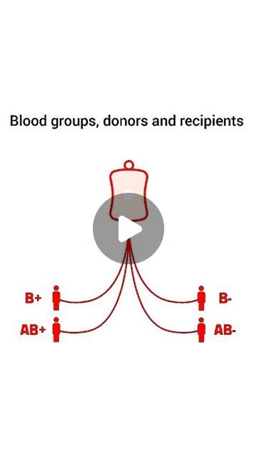 World Of Biology on Instagram: "More about blood groups.

BLOOD TYPE & RH FACTOR

The ABO group and Rh type classify a group of genetically inherited antigens found in the outer membrane of each red blood cell. The ABO group consists of four possibilities: A, B, AB, and O. The Rh type is either positive or negative.
.
.
.
.
.
.
.
#haematology #haematologyresearch #mbbs #microbiologist #microbiota #microbiologie #immunology #immunologist #immunologia #bloodgroup #blood" Rh Factor, Blood Group, Blood Groups, Red Blood, Red Blood Cells, Blood Type, Biology, Red, Quick Saves