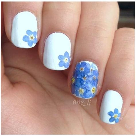 Forget me not wedding nails! Shellac Nails, Spring Nail Art, Pretty Nail Art, Flower Nail Art, Bridal Nails, Blue Makeup, Nail Extensions, Professional Nails, Flower Nails