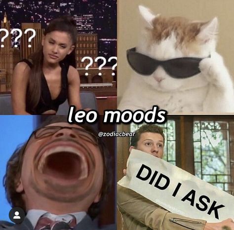 Facts About Leo Zodiac, Leo And Leo Relationship, Leo Memes Funny, Leo Things, Leo Aesthetic, Leo Relationship, Zodiac Leo Art, Leo Queen, Leo Zodiac Quotes