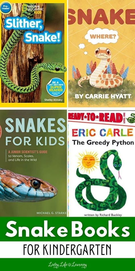 These snake books for kindergarten are a helpful medium for young 
readers who wanted to learn more about snakes and why these reptiles are
 often misunderstood. These books are filled with fun facts, vivid 
illustrations of different snake species as well and fun and 
light-hearted stories that will keep your child more engaged in reading 
and learning during your homeschool reptiles lesson. Reptiles For Kids, Kindergarten Science Curriculum, Books For Kindergarten, Snake Species, Cny 2024, Kindergarten Science Activities, Kids Stem Activities, Chemistry For Kids, Kindergarten Homeschool Curriculum